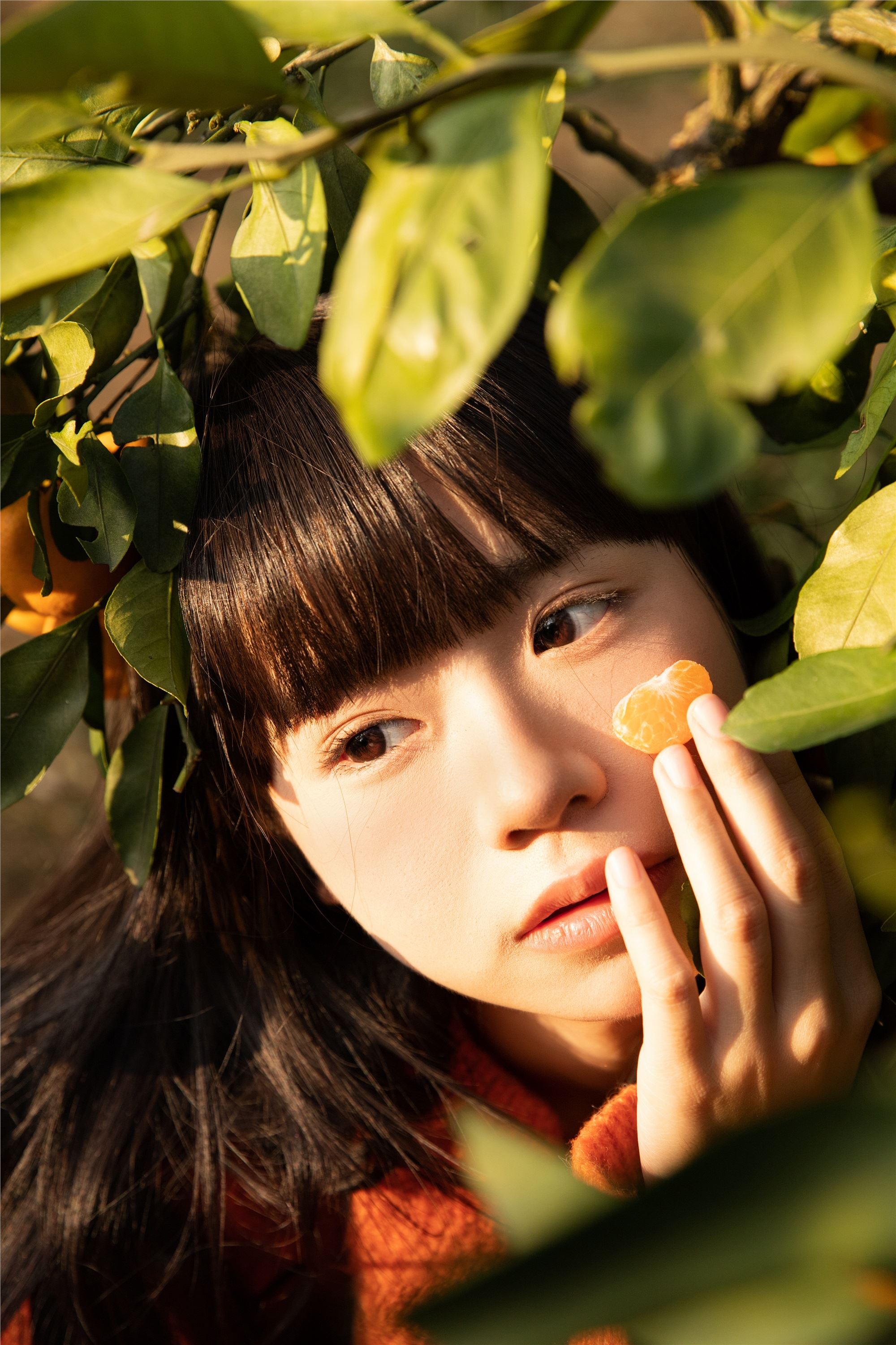 YITUYU艺图语 2025.02.03 橘子辉煌 是三金呀